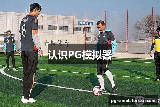 认识PG模拟器